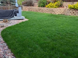 Lisa M.'s lawn care services service result