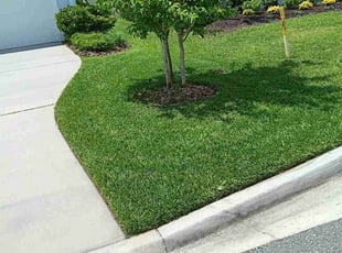 Tamara W.'s landscaping services service result