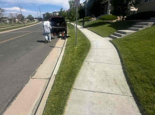 Ashley F.'s turf maintenance service result