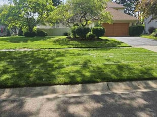 Gaeshia T.'s turf care service result