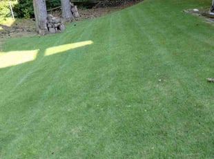 Hillary E.'s lawn service service result