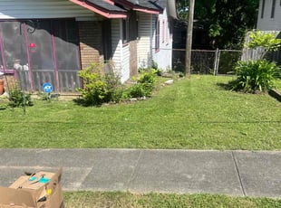 Shane Z.'s lawn care services service result