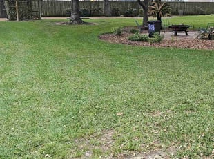 Barry D.'s grass cutting service result