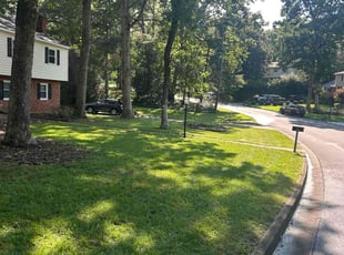 Jayson G.'s lawn care service result