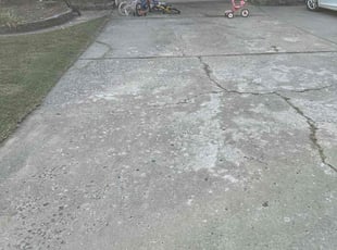 Pascal F.'s lawn care service result