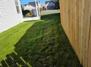 David W.'s lawn care service result