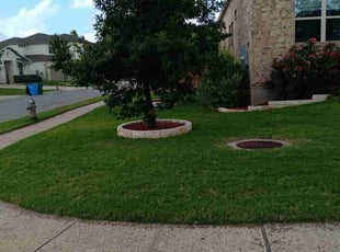 Joseph B.'s turf maintenance service result