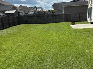 Colin E.'s lawn maintenance service result