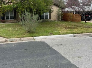 Kate R.'s Leaf Removal service result