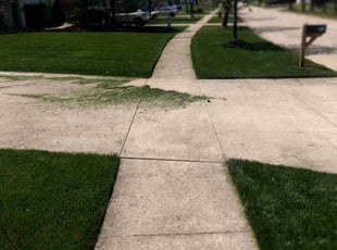 Colleen M.'s turf maintenance service result