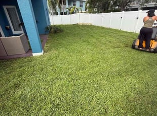 Darryl S.'s grass cutting service result