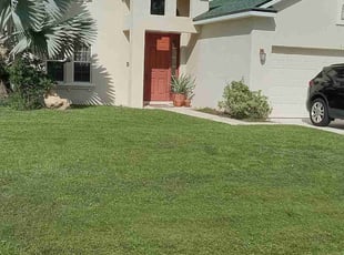 Sharon C.'s lawn care services service result