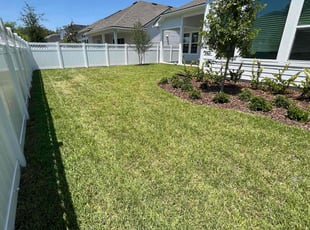 Chasidy M.'s grass cutting service result