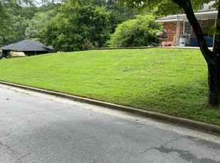 Patti L.'s lawn care services service result