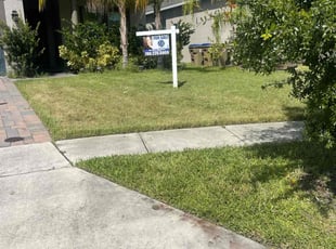 Michelle R.'s Long Grass Cleanup service result