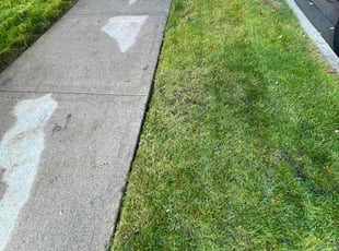 Octavius D.'s turf maintenance service result