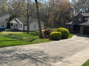 Cyndi C.'s lawn maintenance service result