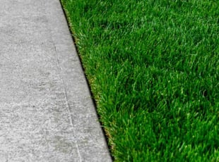 Adam M.'s lawn care service result