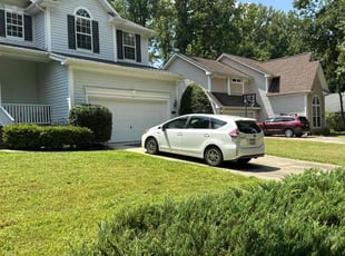 Koushik D.'s Bush Trimming service result