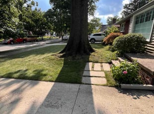 Michael T.'s lawn care service result