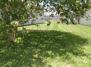 Amy D.'s turf care service result