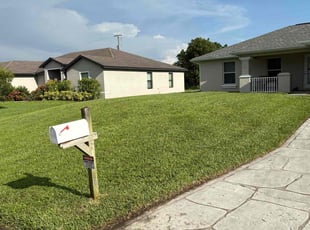 Patti P.'s grass cutting service result