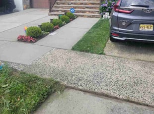 Tracey T.'s lawn care service result