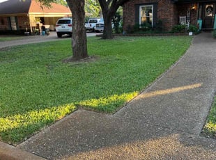 Peggy G.'s turf care service result