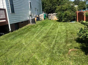 Wendy M.'s turf care service result