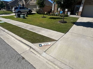 Pam M.'s grass cutting service result