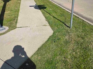 Henry E.'s turf maintenance service result