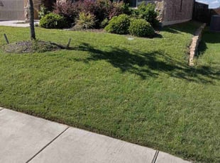 Mary M.'s grass cutting service result