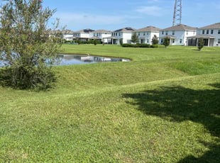 Jonathan B.'s grass cutting service result