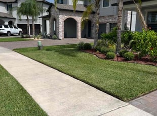 Mike M.'s turf care service result