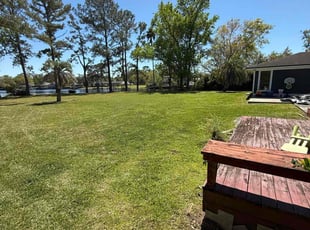 Vincent D.'s lawn care service result