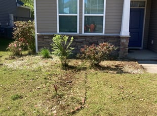 Elizabeth T.'s Bush Trimming service result