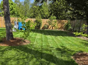 Lee M.'s lawn service service result