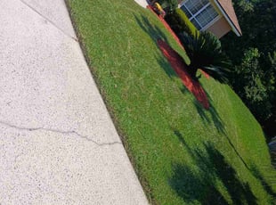 Erika P.'s turf care service result