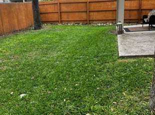 Donna W.'s lawn maintenance service result