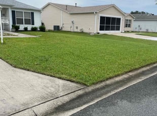 Chris K.'s lawn service service result