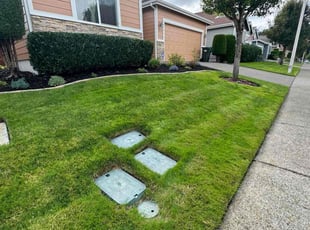 David R.'s turf maintenance service result