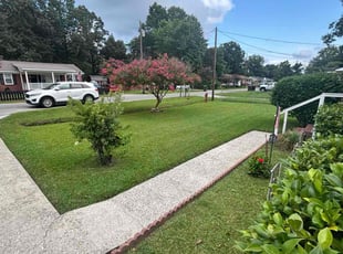 Torris F.'s grass cutting service result