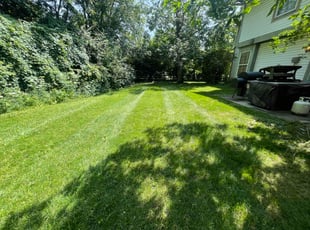 Logan E.'s grass maintenance service result