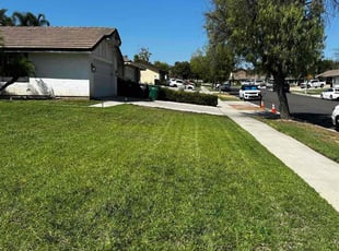 David C.'s lawn service service result