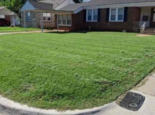 Thomas W.'s grass cutting service result