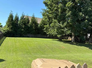 Roxie S.'s turf care service result