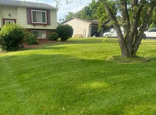 Kim R.'s grass maintenance service result