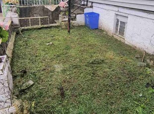 Jessica P.'s lawn care services service result