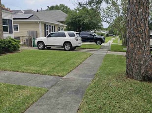 Chayson R.'s grass maintenance service result