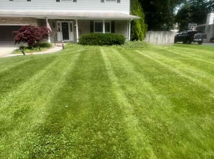 Christopher L.'s turf maintenance service result